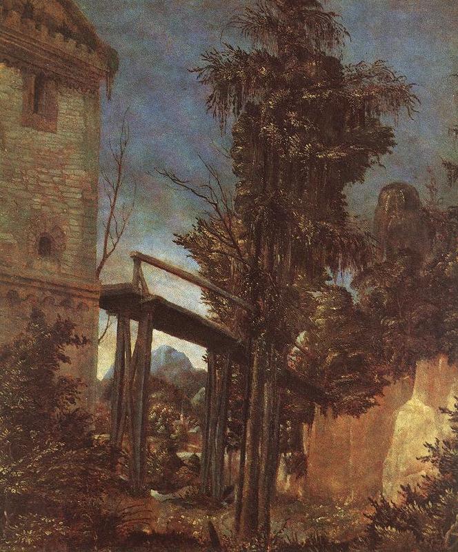 ALTDORFER, Albrecht Landscape with Path oil painting picture